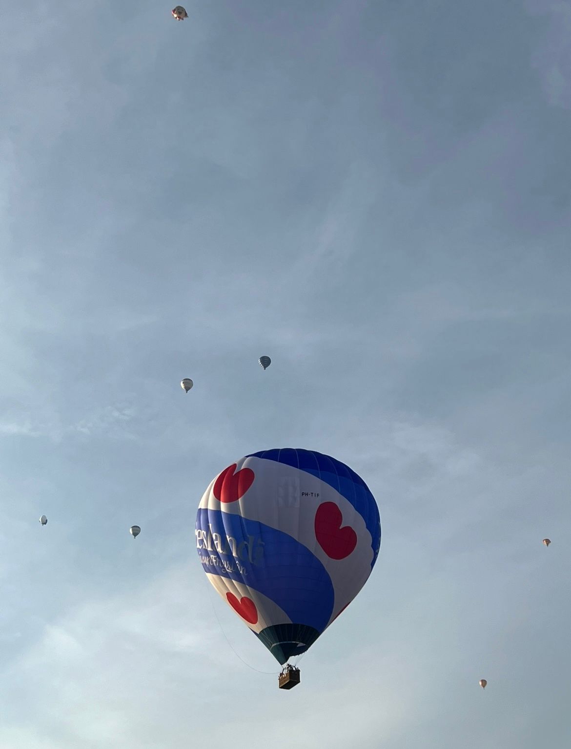 Foto 19